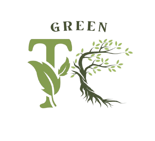 Association Étudiante GreenTC